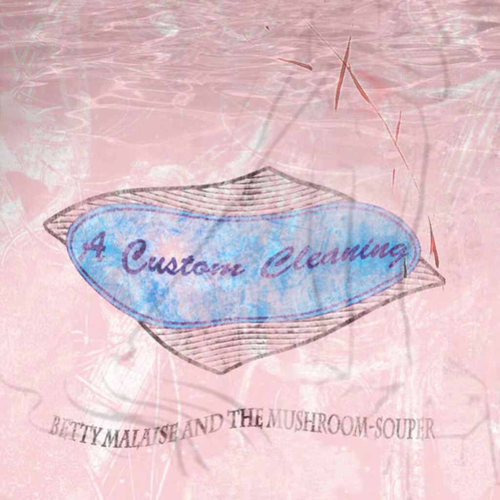 A Custom Cleaning cover
